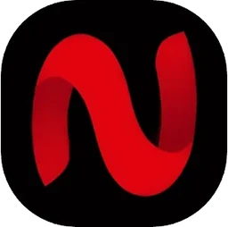 Netminer Ott logo