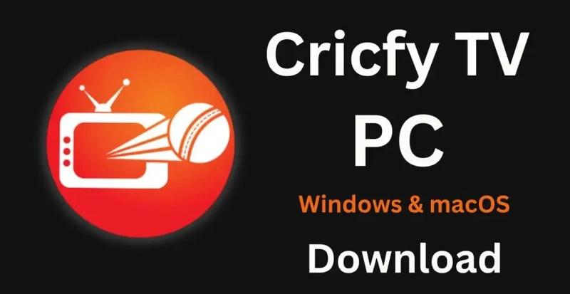 cricify feature highlights image