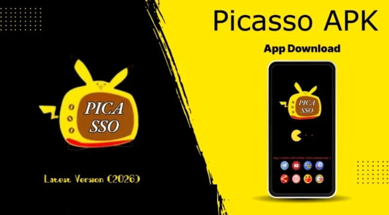 Introduction to Picasso